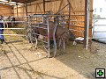 thn_Troubelice 2006 045.jpg